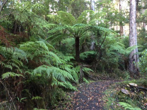 Forrest River Valley - Accommodation Melbourne 4