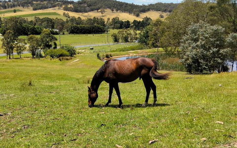 Honeycomb Hill Of Yarra Valley - Accommodation Melbourne 3