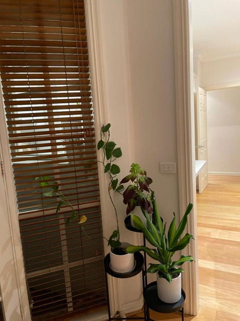 Hunter House - Accommodation Melbourne 0