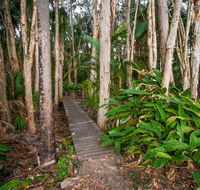 Agnes Palms Accommodation - Accommodation Melbourne