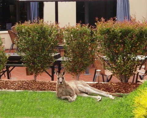 Alpha Hotel Canberra - Accommodation Melbourne 1