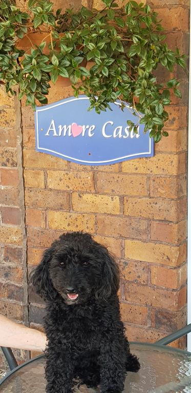 Amore Casa Tenterfield - Accommodation Melbourne 2