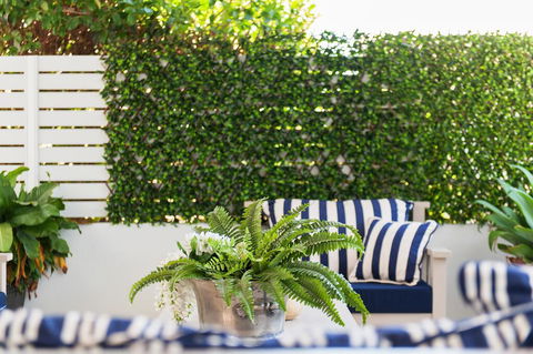 Arabella - Stylish Seaside Sanctuary With Views - Accommodation Melbourne 2
