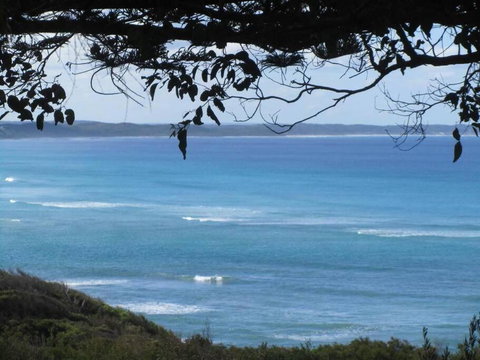 Maizies View - A Hidden Gem - Accommodation Melbourne 1