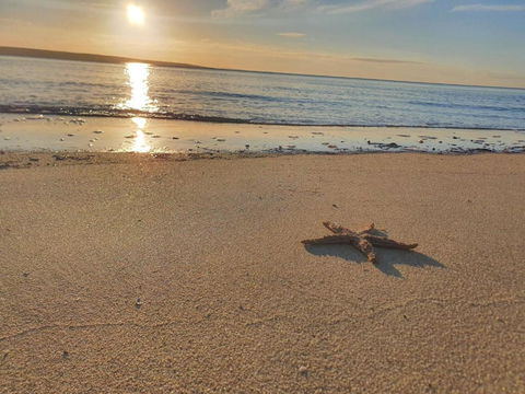 Matildas Of Kangaroo Island - Accommodation Melbourne 1