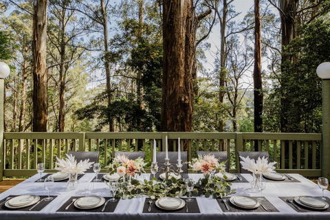 Modern Seednest Treehouse, Forest & Mountain View - Accommodation Melbourne 2