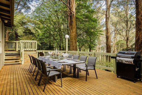 Modern Seednest Treehouse, Forest & Mountain View - Accommodation Melbourne 1