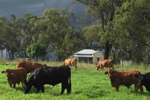 Montrose Farm Stay - Charming 2 Bedroom Cottage - Accommodation Melbourne 1