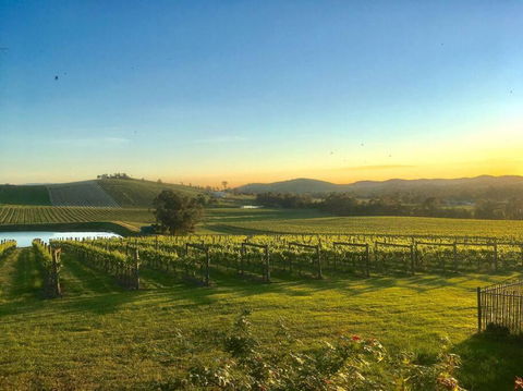Mount Hope Estate Vineyard - Accommodation Melbourne 0