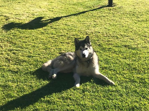 Mountain Culture Farm Stay - Pet Friendly - Accommodation Melbourne 3