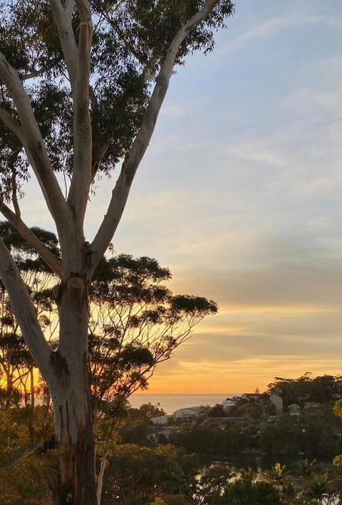 Ocean Sunrises - Accommodation Melbourne 1