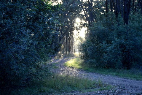 On Bell Glamping - Accommodation Melbourne 3