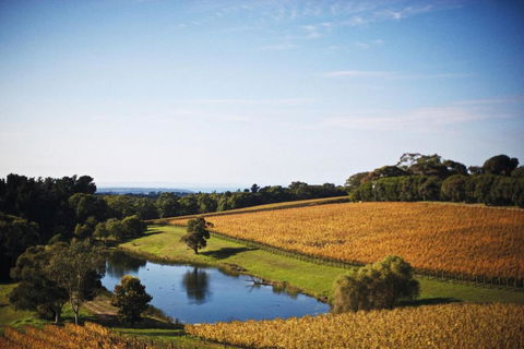 Port Phillip Estate - Accommodation Melbourne 2