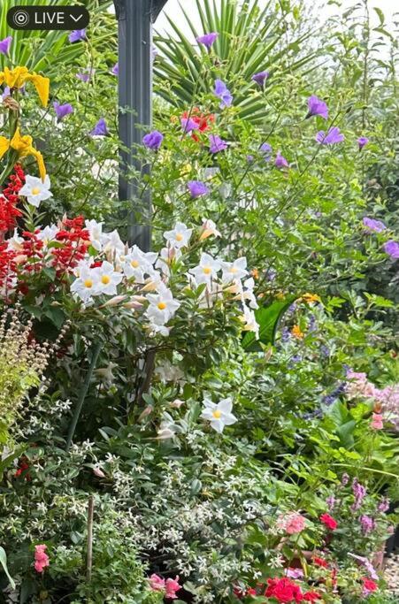 Quiet Comfort For Relaxing Stays - Accommodation Melbourne 0