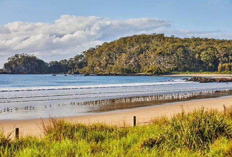 Rare Broulee Beachfront House - Accommodation Melbourne 3