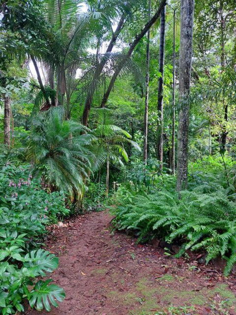 Rainforest Retreat-Fireplace-BBQ-3 Acres- - Accommodation Melbourne 0