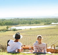 Audrey Wilkinson Vineyard - Accommodation Melbourne