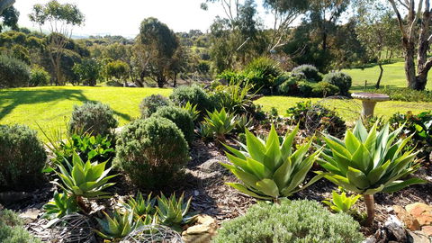Austiny Bed And Breakfast Victor Harbor - Accommodation Melbourne 2