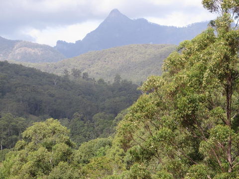 Babbling Brook Retreat - Melbourne 4u 2