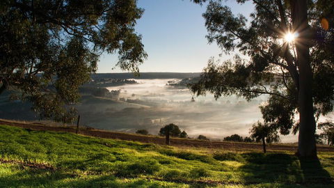 Balingup Heights Hilltop Forest Cottages - Accommodation Melbourne 0