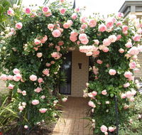 Baudins of Busselton Bed and Breakfast - Accommodation Melbourne