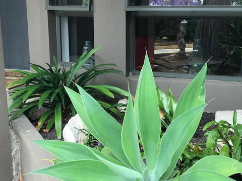 Baulkham Hills - Accommodation Melbourne 3