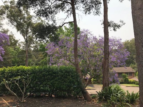 Baulkham Hills - Accommodation Melbourne 2