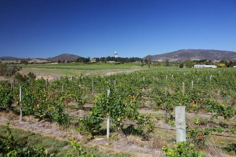 Riversdale Estate Cottages - Accommodation Melbourne 1