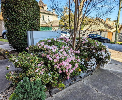 Riverside Haven On City Doorstep - Accommodation Melbourne 1