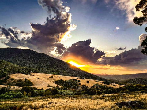 Roam Merrijig - Luxury Stay With Mountain Views - Foothills Of Mt Buller - Accommodation Melbourne 1
