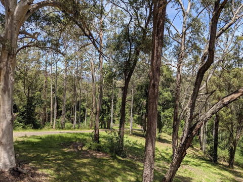 Romantic Cabin Escapes Barrington Tops - Lorikeet - Accommodation Melbourne 1