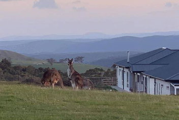 Rooks Edge with Accommodation Melbourne