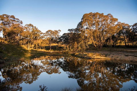 Rose Quartz - 1 Bed With Mountain Views - Kundalini Lodge - Accommodation Melbourne 1