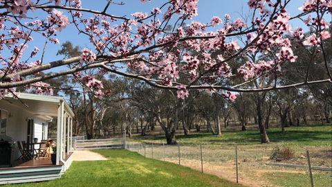 Rosewood Cottage - Accommodation Melbourne 3