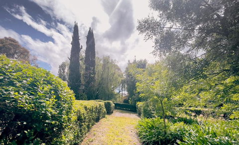Sanctuary Park Cottages - Accommodation Melbourne 1