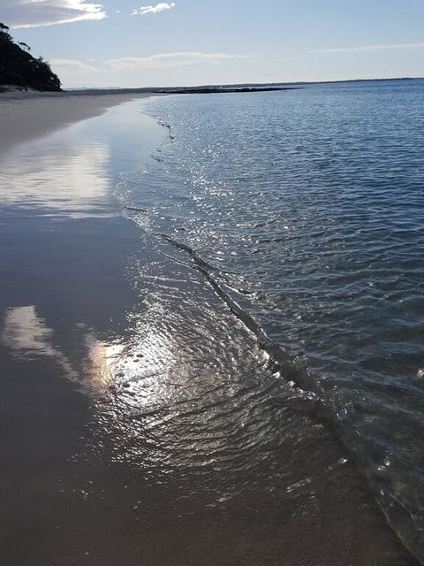 Beachside Husky - Waterfront - Accommodation Melbourne 3
