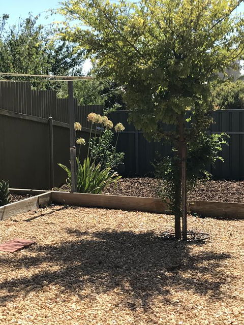 Beatty Cottage - Accommodation Melbourne 2