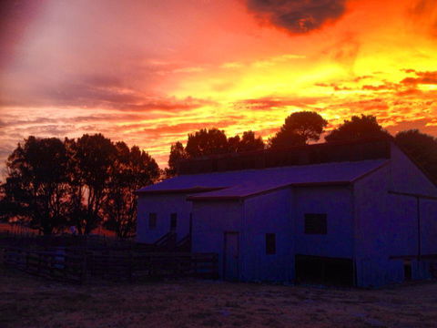 Beggs Farmstay B&B - Accommodation Melbourne 1