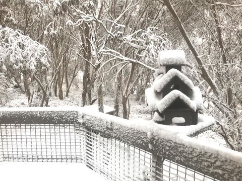 Belltrees - Accommodation Melbourne 1