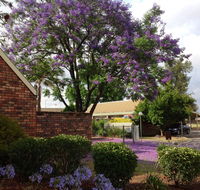 Belvoir Village Motel  Apartments Wodonga - Accommodation Melbourne