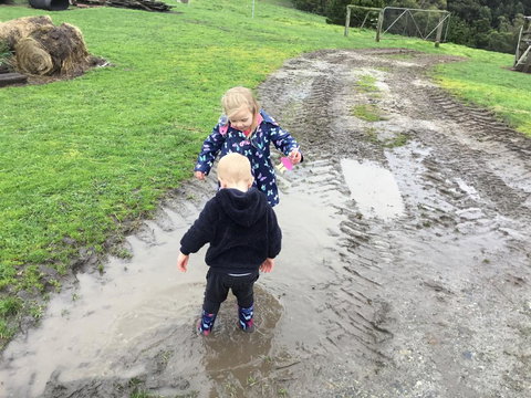 Beth's Cottage Roaring 40s - Accommodation Melbourne 3