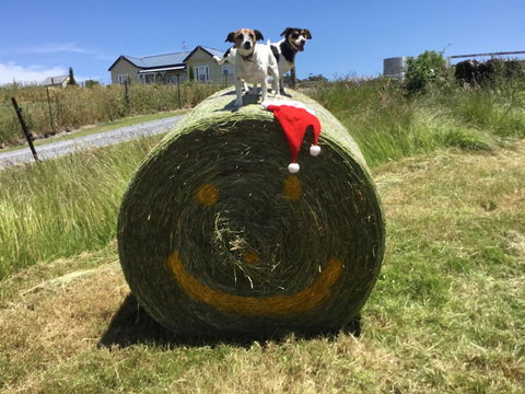 Beth's Cottage Roaring 40s - Accommodation Melbourne 1