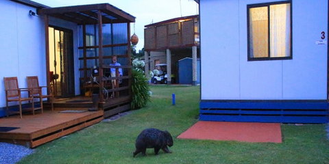 BIG4 Kelso Sands Holiday & Native Wildlife Park - Accommodation Melbourne 0
