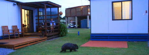BIG4 Kelso Sands Holiday & Native Wildlife Park - Accommodation Melbourne 2