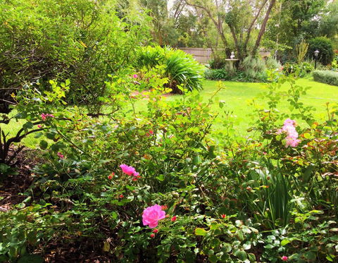 Bindley House B&B Cottage - Accommodation Melbourne 2