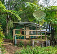 Binna Burra Rainforest Campsite - Accommodation Melbourne