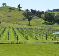 Blue House at Mountainside Wines - Accommodation Melbourne