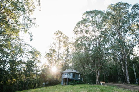 Bluegums Cabins - Accommodation Melbourne 0