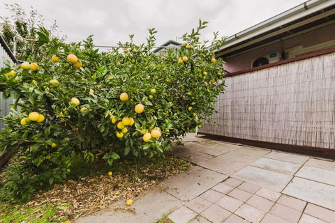 Yarraville Garden Large Home With Yard And Parking - Accommodation Melbourne 3
