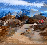 The Big Wave Rock Private Day Tour - Melbourne 4u